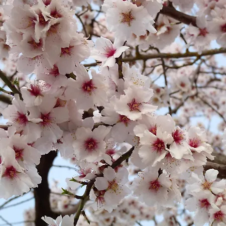 Eco Boutique & Capitulo Trece - Adults Only Maderuelo