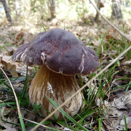 Szálloda Eco Boutique & Capitulo Trece - Adults Only Maderuelo