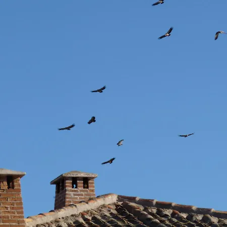 Eco Boutique & Capitulo Trece - Adults Only Szálloda 3*