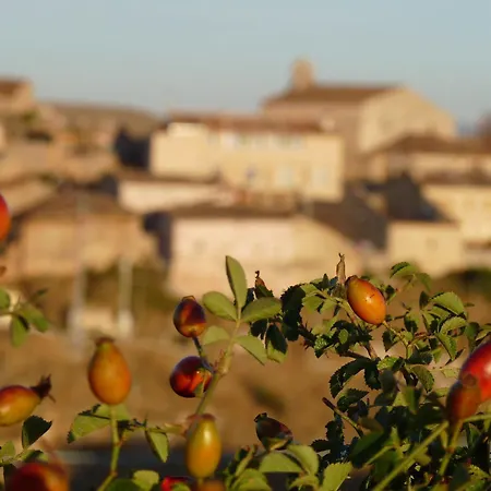 Eco Boutique & Capitulo Trece - Adults Only 3*