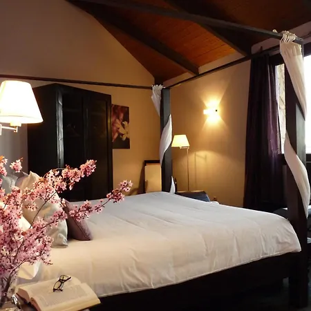 Eco Boutique & Capitulo Trece - Adults Only 3* Мадеруэло