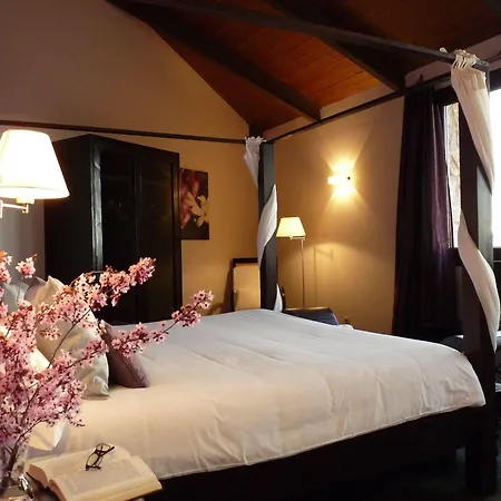 Eco Boutique & Capitulo Trece - Adults Only 3* Maderuelo