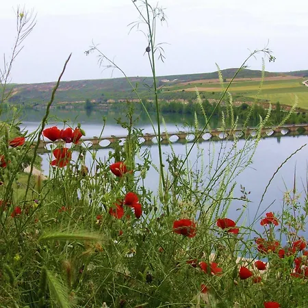 Eco Boutique & Capitulo Trece - Adults Only