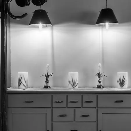 Eco Boutique & Capitulo Trece - Adults Only