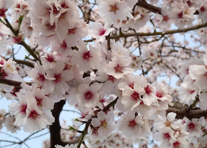 Eco Boutique & Capitulo Trece - Adults Only Мадеруэло