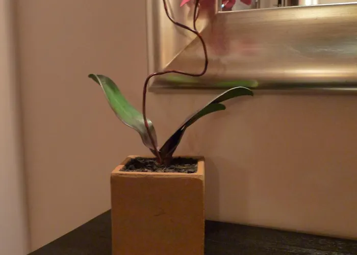 Отель Eco Boutique & Capitulo Trece - Adults Only