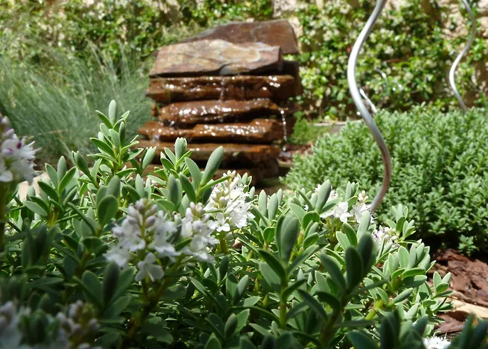 Eco Boutique & Capitulo Trece - Adults Only Отель