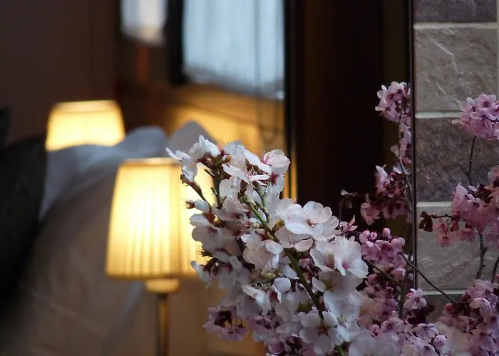 Eco Boutique & Capitulo Trece - Adults Only Отель Мадеруэло