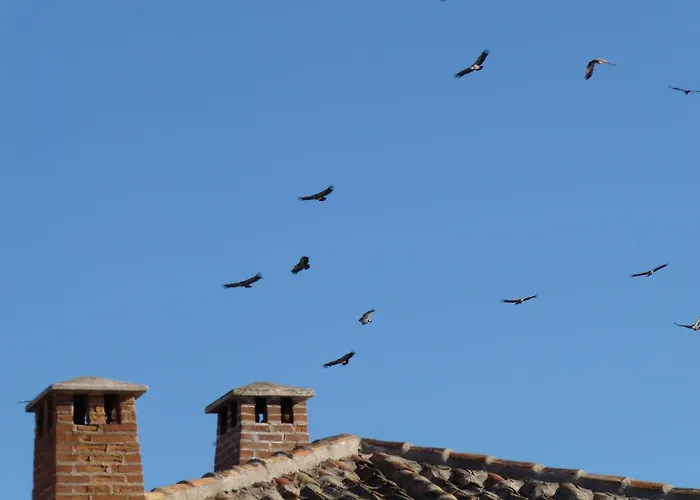 Eco Boutique & Capitulo Trece - Adults Only Отель 3*