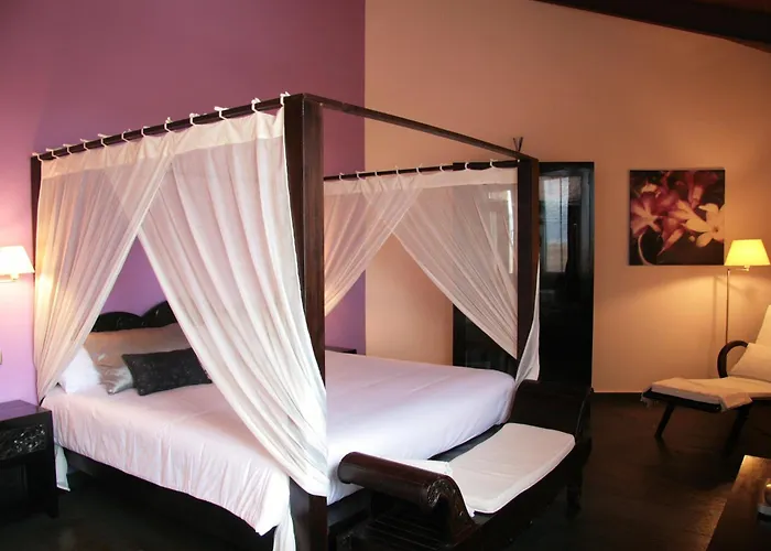 Eco Boutique & Capitulo Trece - Adults Only