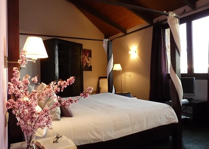 Eco Boutique & Capitulo Trece - Adults Only 3* Maderuelo