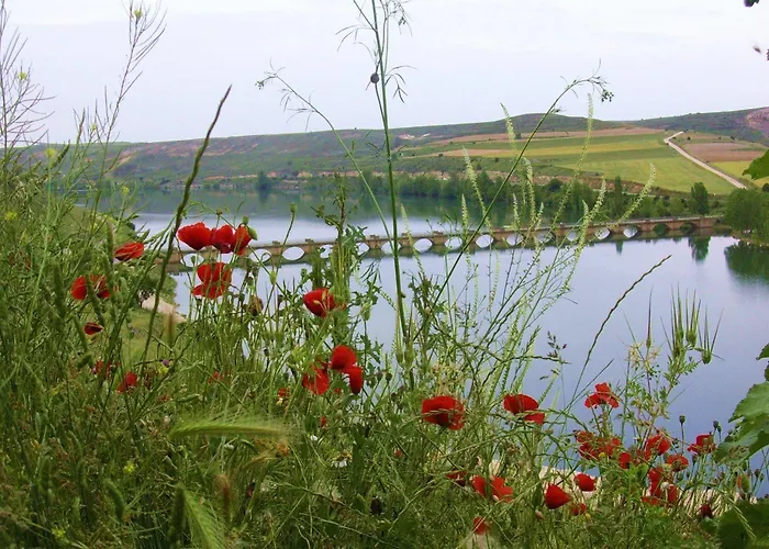 Eco Boutique & Capitulo Trece - Adults Only